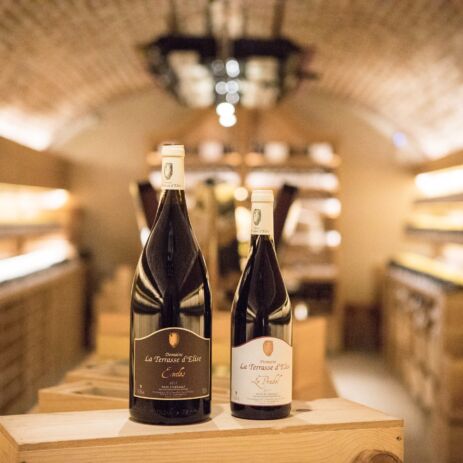 127499495 2824947147747980 4670234637614437182 n