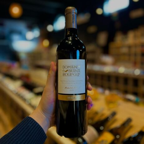 494424919 1306121928007726 7877845312972204998 n