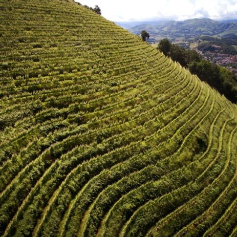 brana diapo domaine 2