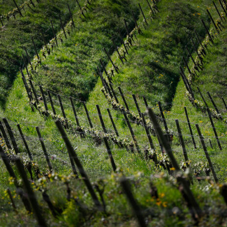 brana producteur 21 01