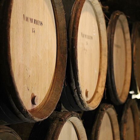 ccl26 cellarbarrelroom 1 17