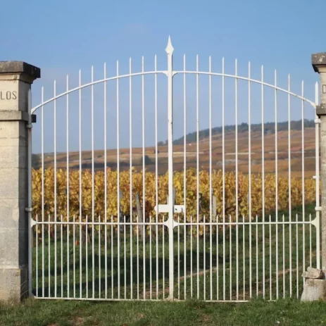 ccl3 vineyardgrandclosdesepenots 1 17