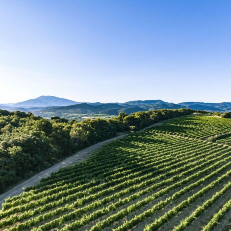 colombier 0080 1570x1177