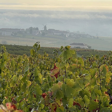 domaine anita