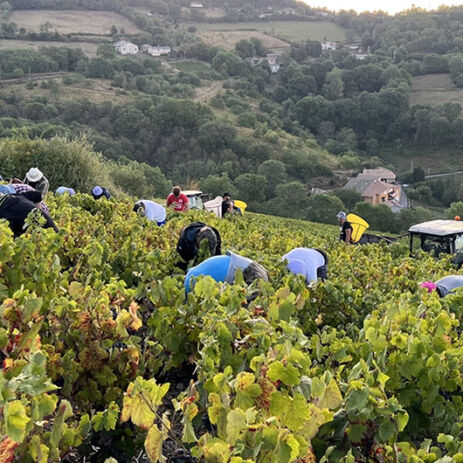 domaine anita5