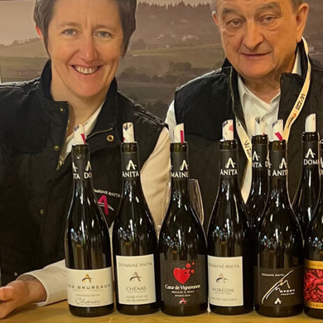 domaine anita6