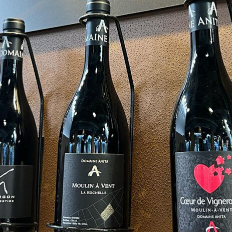 domaine anita7