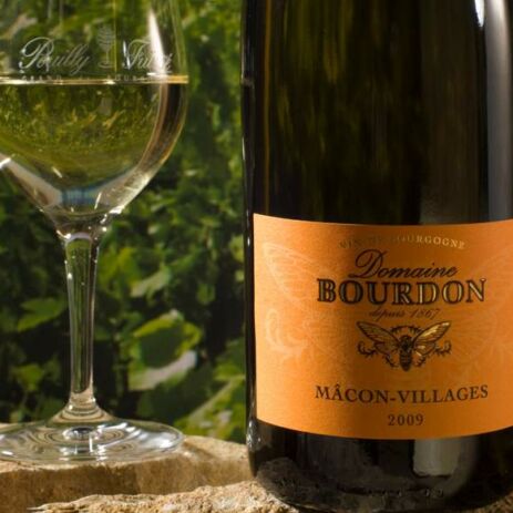 domaine bourdon11