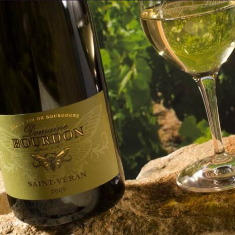 domaine bourdon12
