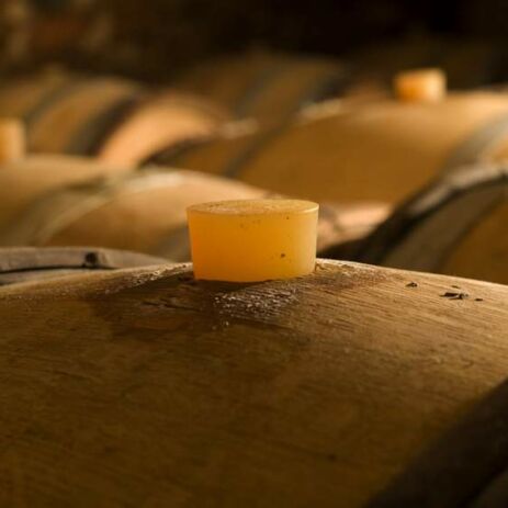 domaine bourdon9