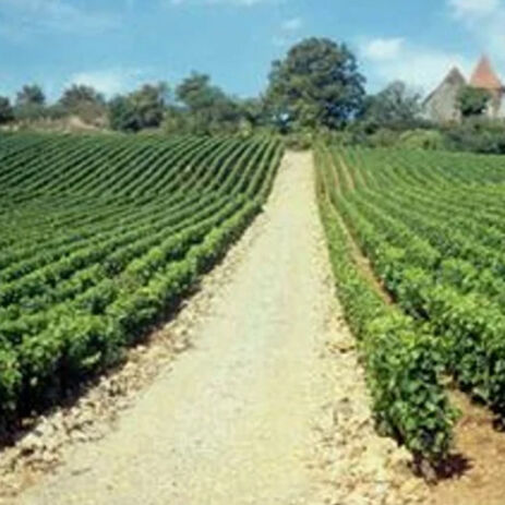 domaine capueno ferreri3