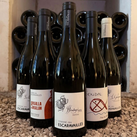 domaine escaravaille 7