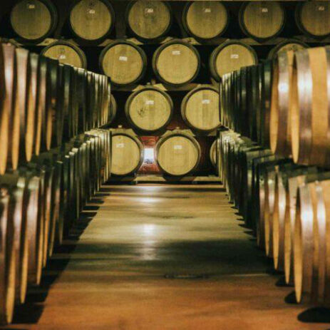 domaine gaillard lyon
