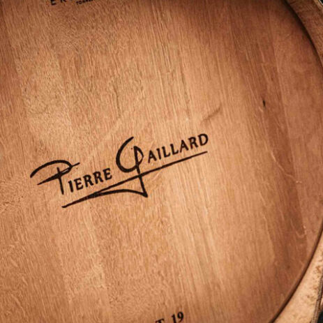 domaine gaillard lyon2