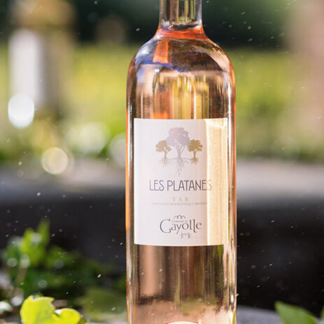 domaine la gayolle 3