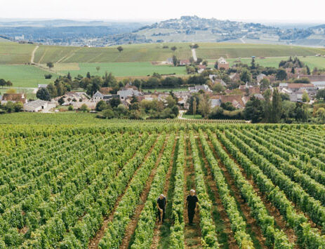 domaine michel girard5