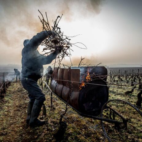 domaine mikulski 18