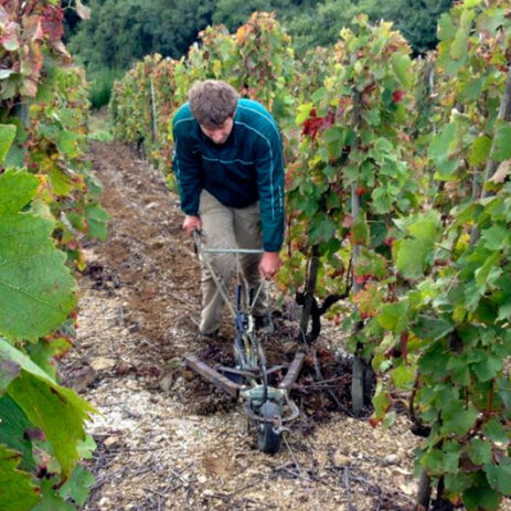 domaine pichat 1