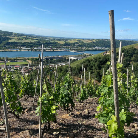 domaine c.parpette