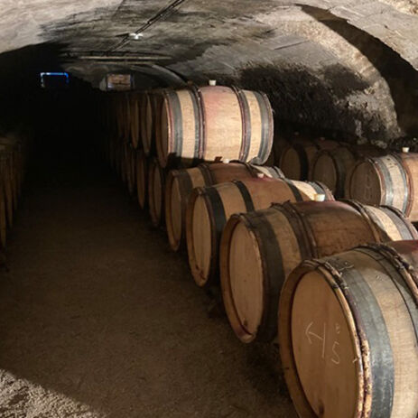 jean foillard vendanges 5