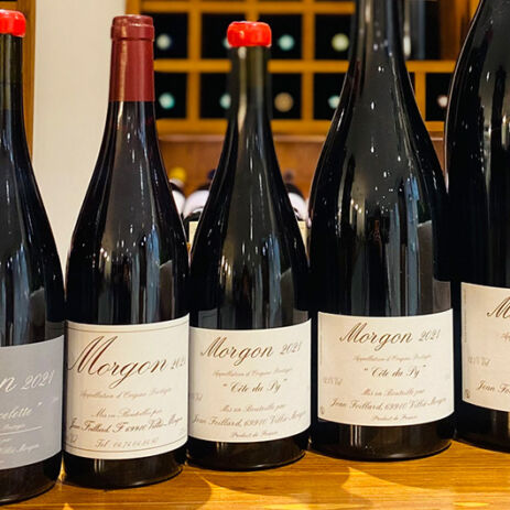 jean foillard vendanges 6