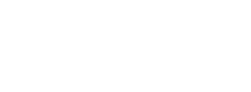 logo brana