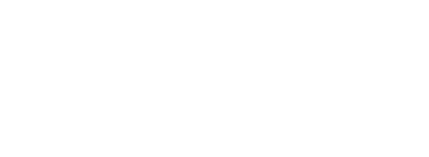 logo domaine anita