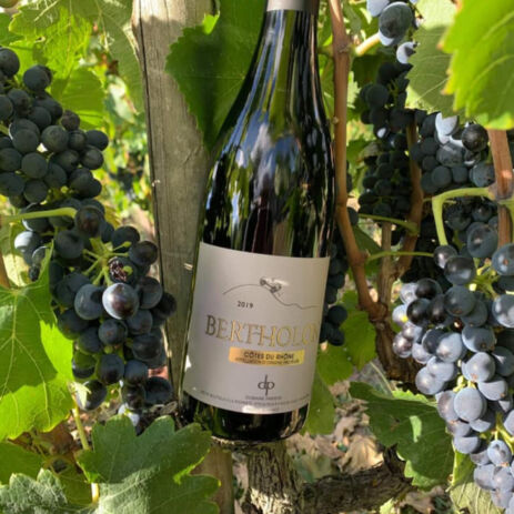 papette cote rotie