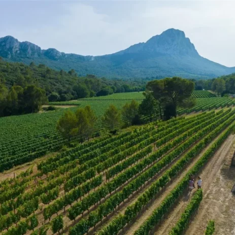 route vins languedoc mas jullien terrasse elise
