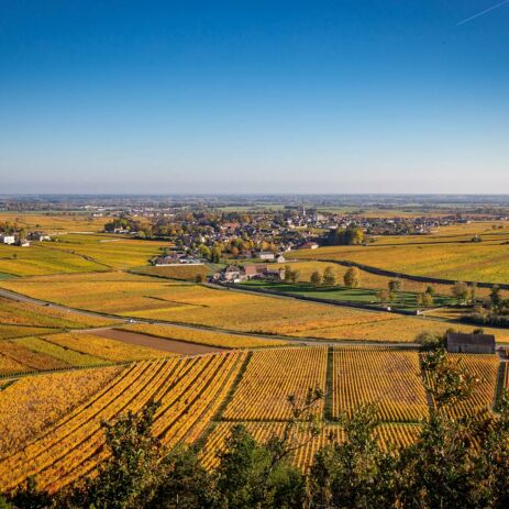 terroir meursault 2