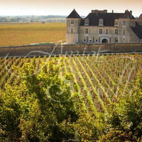 vignoble 33