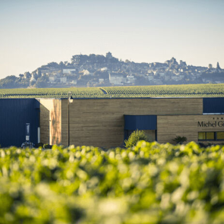 weingut michel girard